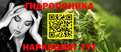 крисы Обнинск