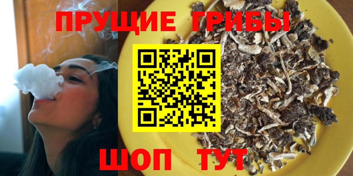 Псилоцибиновые грибы ЛСД Павлово